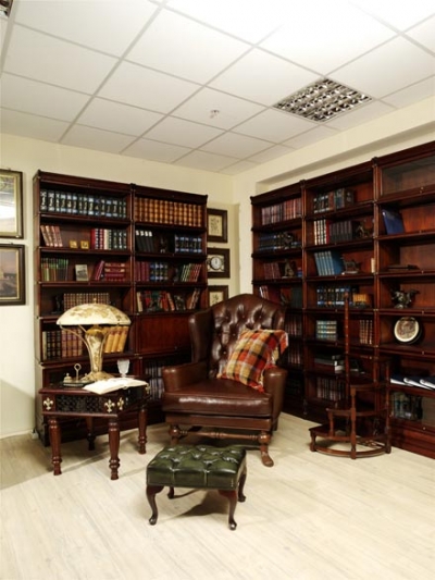 Стеллажи для библиотеки «Глоуб Вернике»